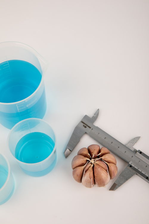 大蒜食品安全農(nóng)業(yè)科技食品培育攝影圖 插畫 下載至來源處