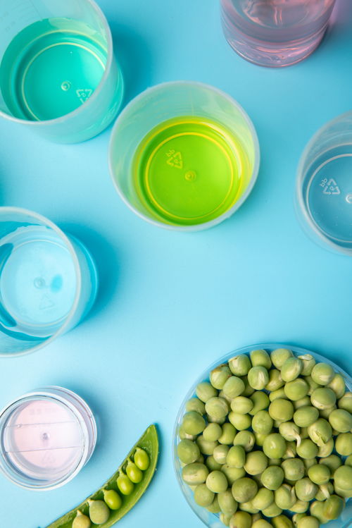 實驗試劑豌豆農業科技食品培育攝影圖 攝影圖 下載至來源處